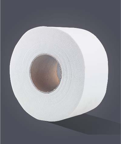 Jumbo toilet paper roll